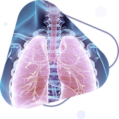 Respiratory function